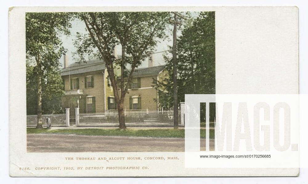 Thoreau and Alcott House, Concord, Mass. still image. Postcards. 1902
