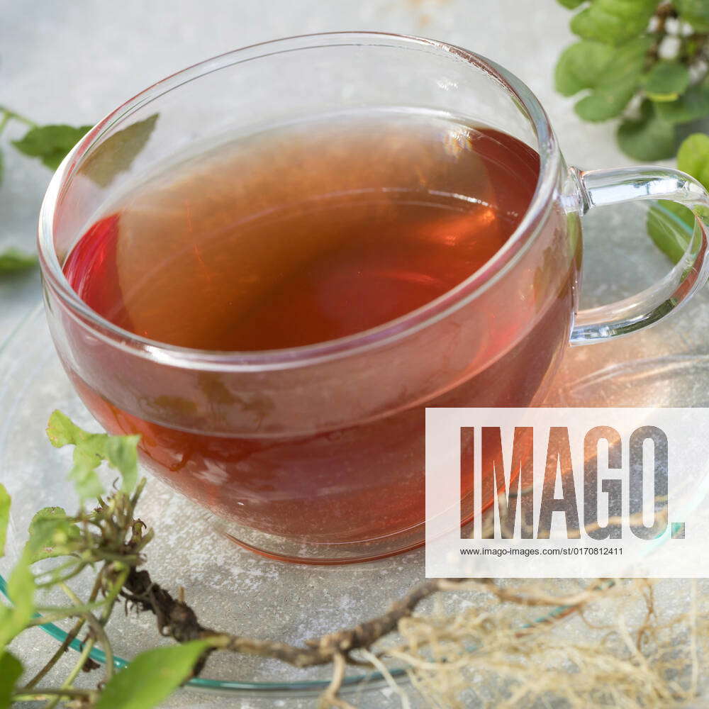 ivy, Viola Viola Spec , Violets root tea, Germany Heart S ease, Violet