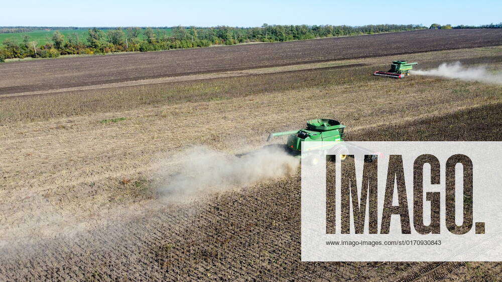 Russia. OCTOBER 15, 2022. Harvesting sunflower seeds in the fields of