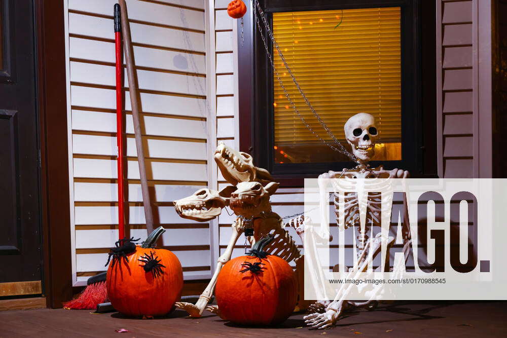 Halloween Decorations In Chicago Halloween decorations outside a house
