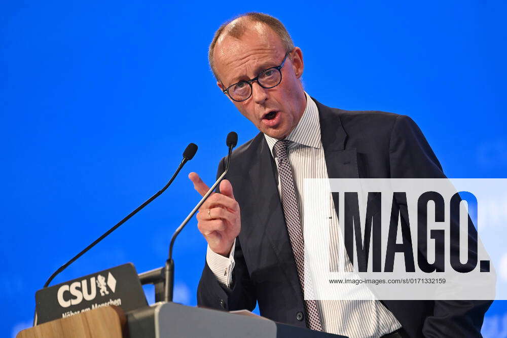 Friedrich MERZ CDU chairman during his speech on stage,gesture,single ...