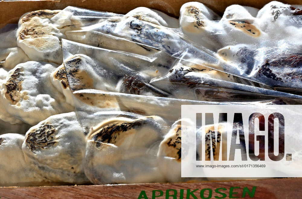 Caution mold infestation on dried apricots Munich Bavaria Germany