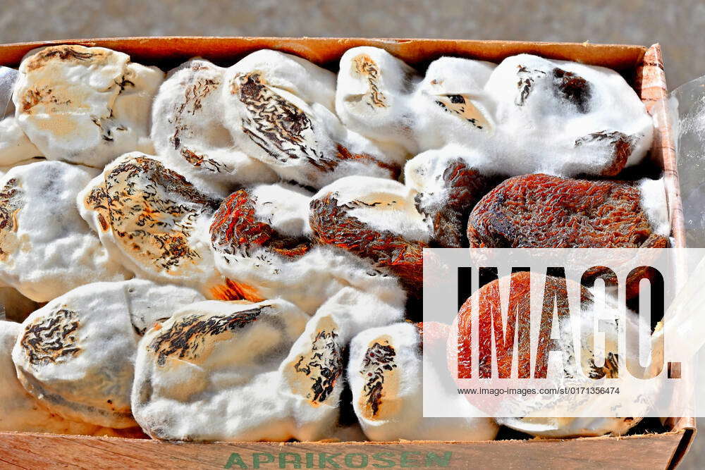 Caution mold infestation on dried apricots Munich Bavaria Germany