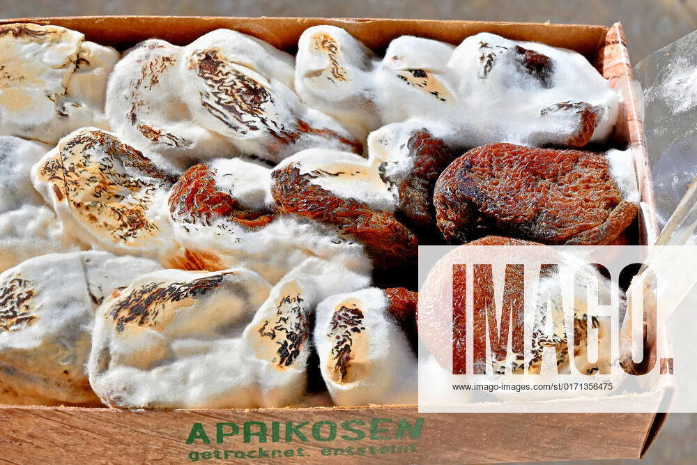 Caution mold infestation on dried apricots Munich Bavaria Germany