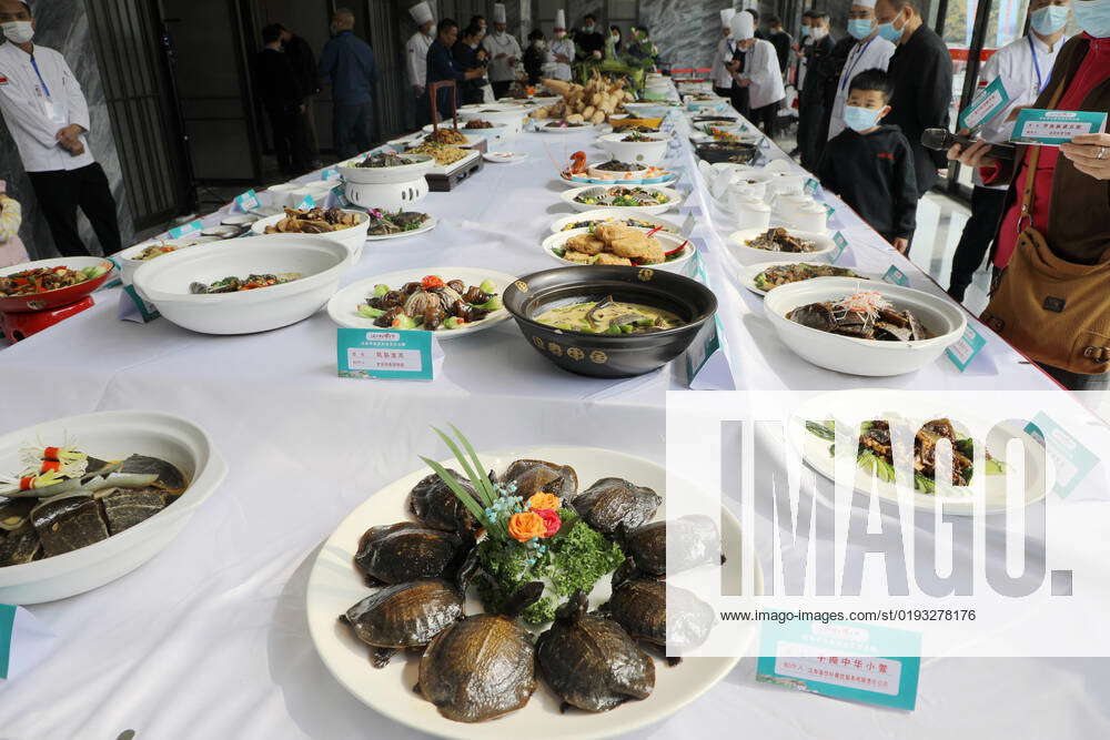 Sixteen Teams Across The Country Make Turtle Dishes To Compete In