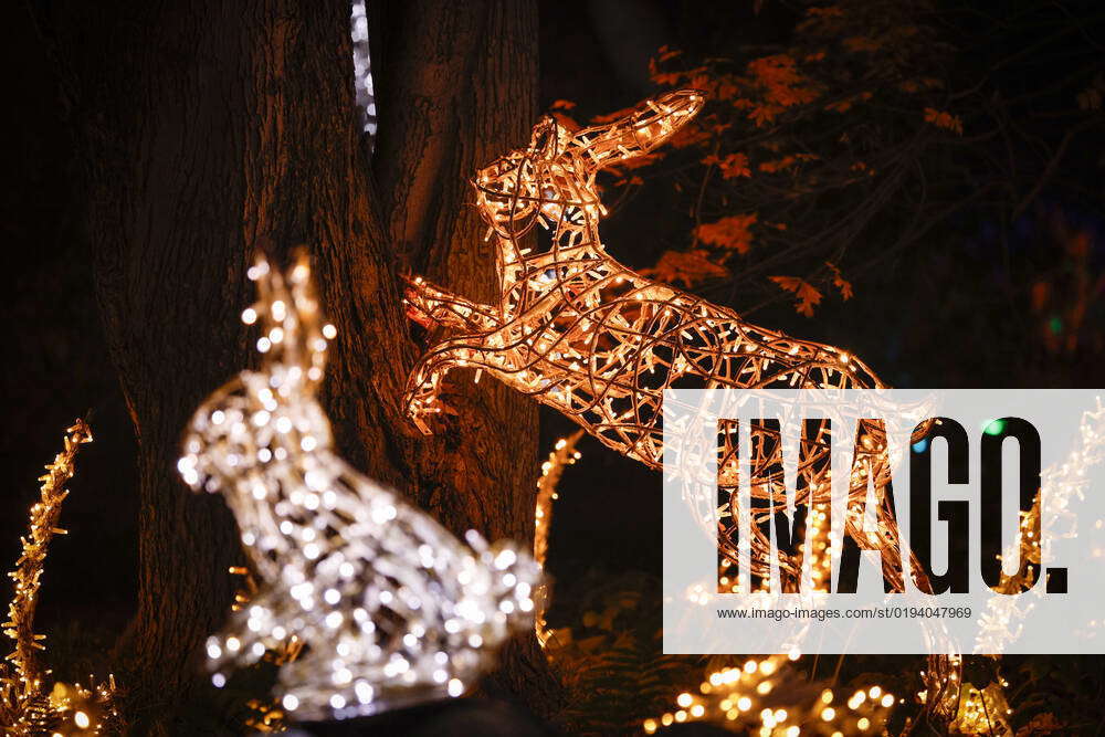 Magical Botanical Gaden Lights Exhibition In Warsaw A sculpture