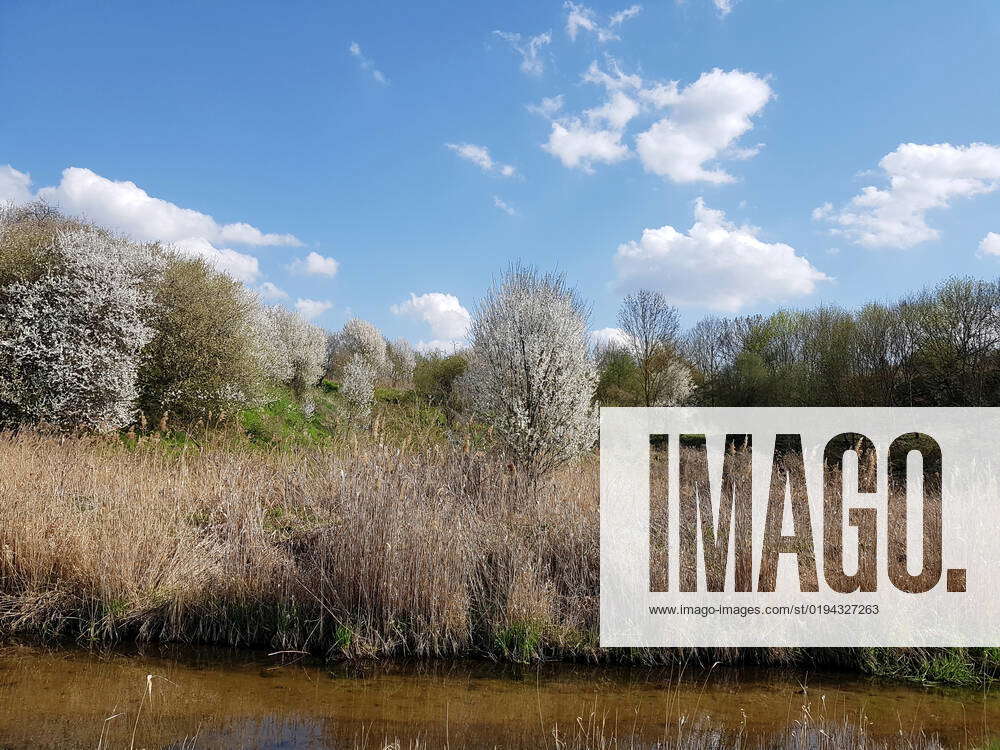 Frühling am Tegeler Fließ im Norden von Berlin Das Tegeler Fließ
