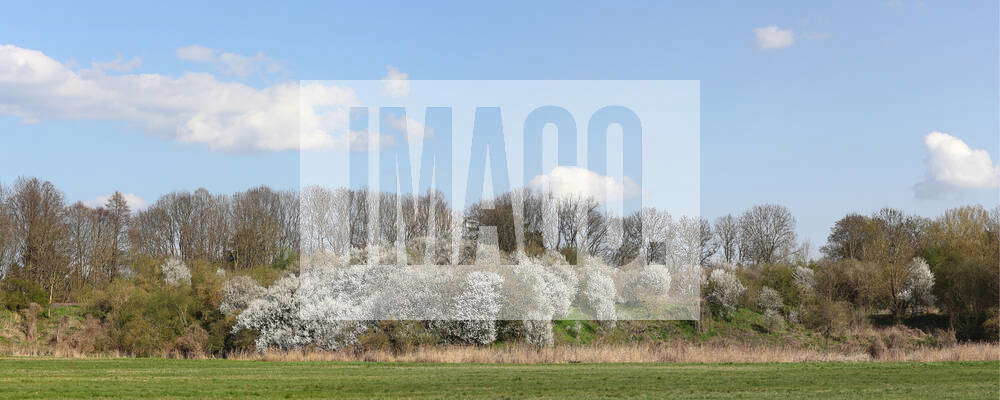 Panorama einer Frühlingslandschaft am Tegeler Fließ im Norden von