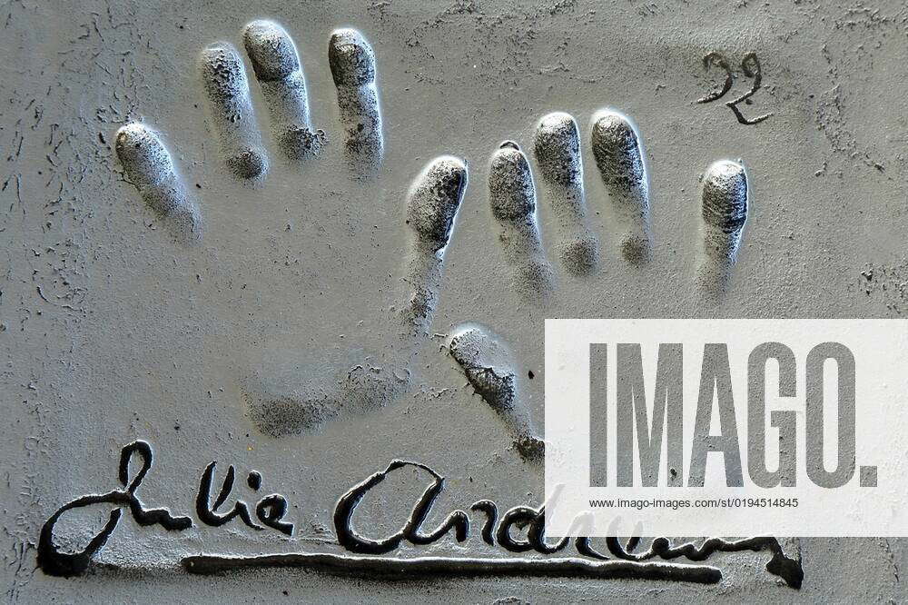 Walk of Fame in Cannes, France xagefotostockx xLuisxFidelxAyervesx