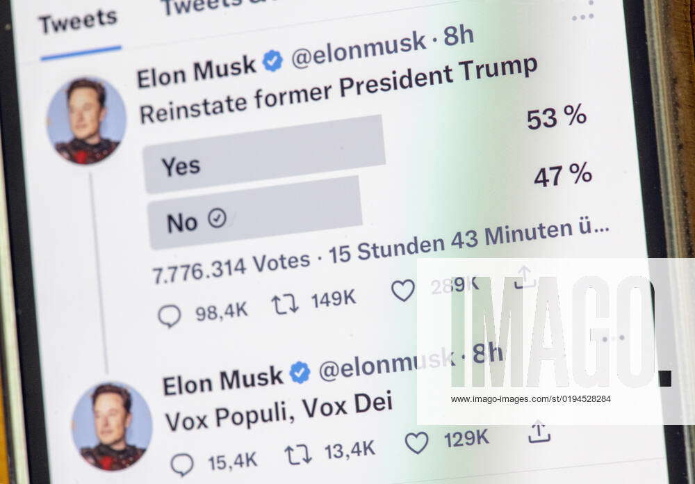 Twitter Poll Yes Or No To Trumps Return To The Social Media Platform Elon Musk Has Launched 