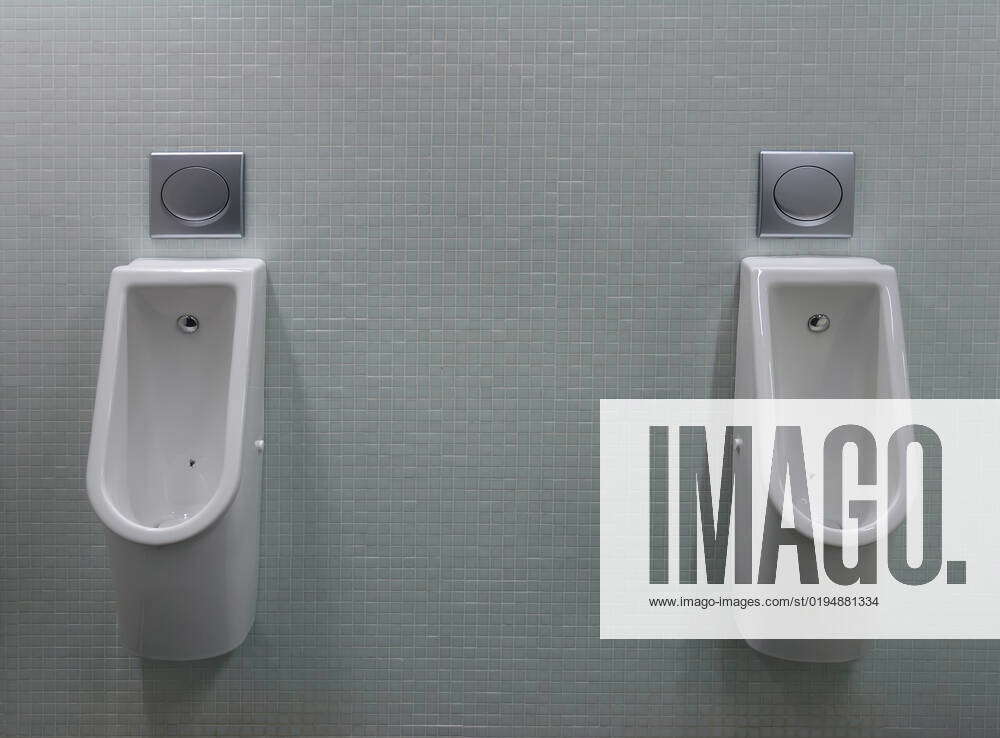 Urinals with two white painted a fly on the toilet in the tiled wall