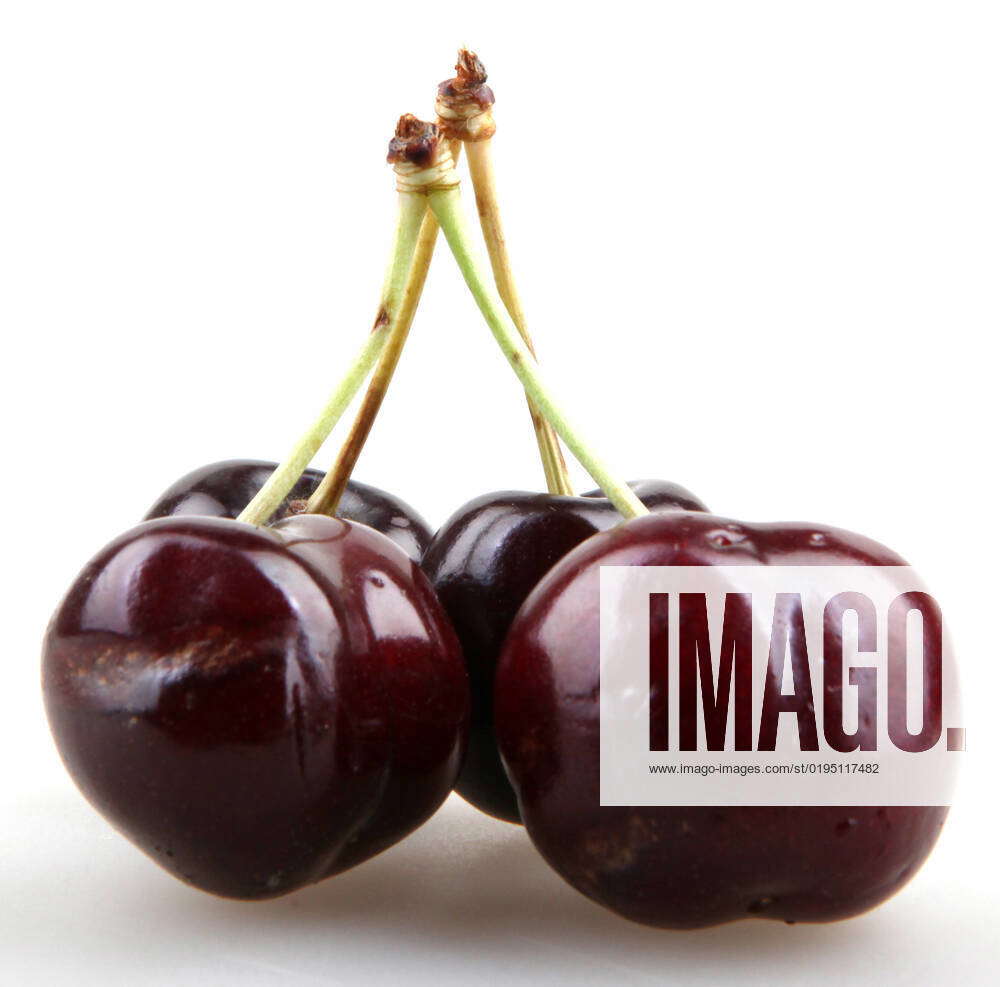 Sweet cherry , 8482740, benefits, black, blossom, blossoms, buy, cake