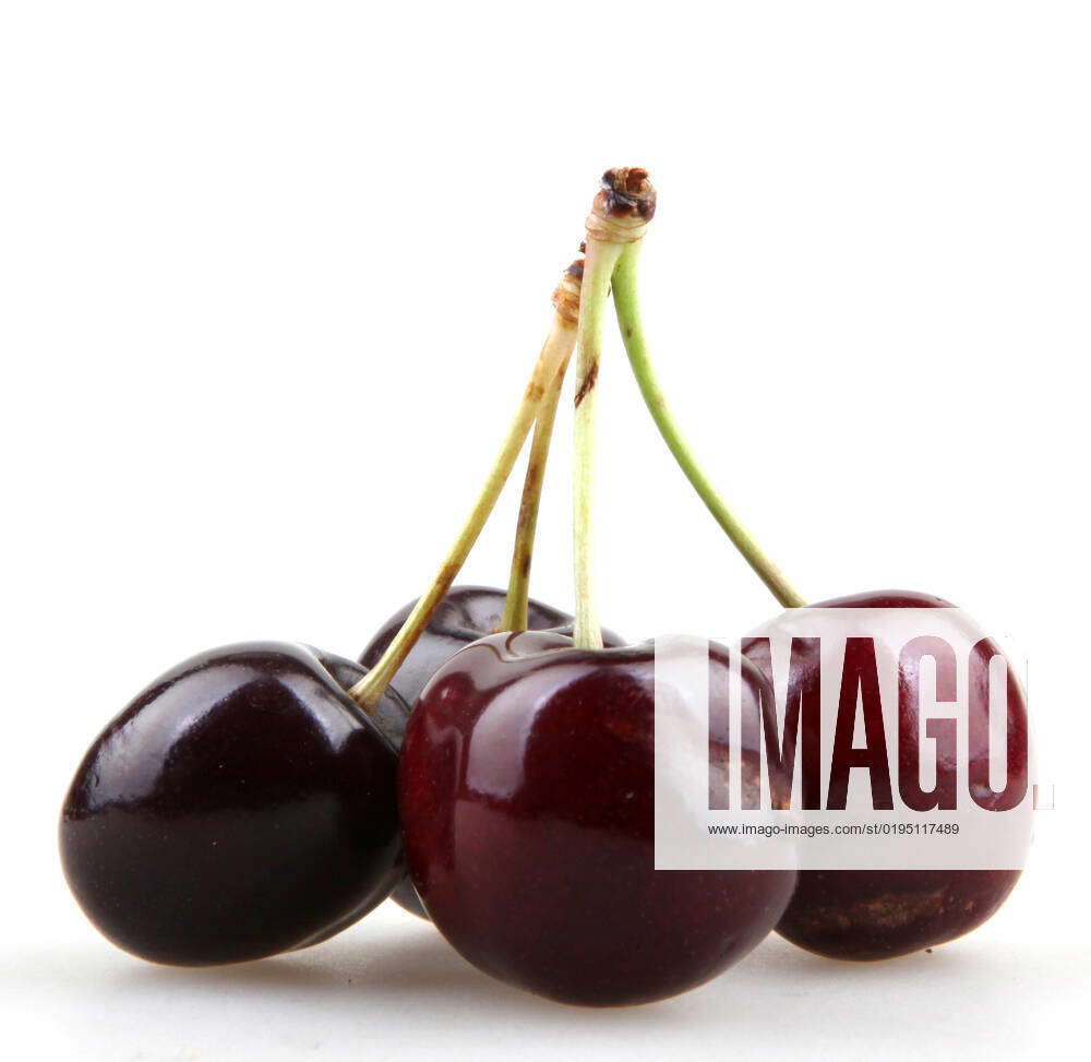 Sweet cherry , 8482746, benefits, black, blossom, blossoms, buy, cake