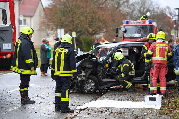 Schönau-Berzdorf - PKW Kracht Frontal Gegen Baum: Eine Person Schwerst ...