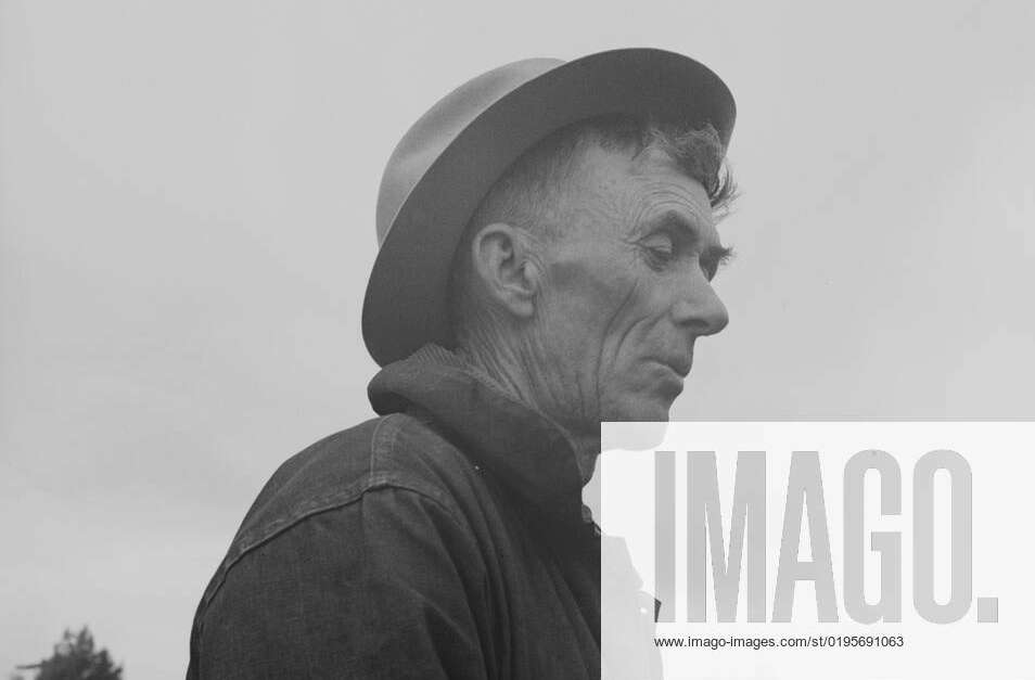 On the land since the cattle days of Miller and Lux, Buttonwillow, Kern