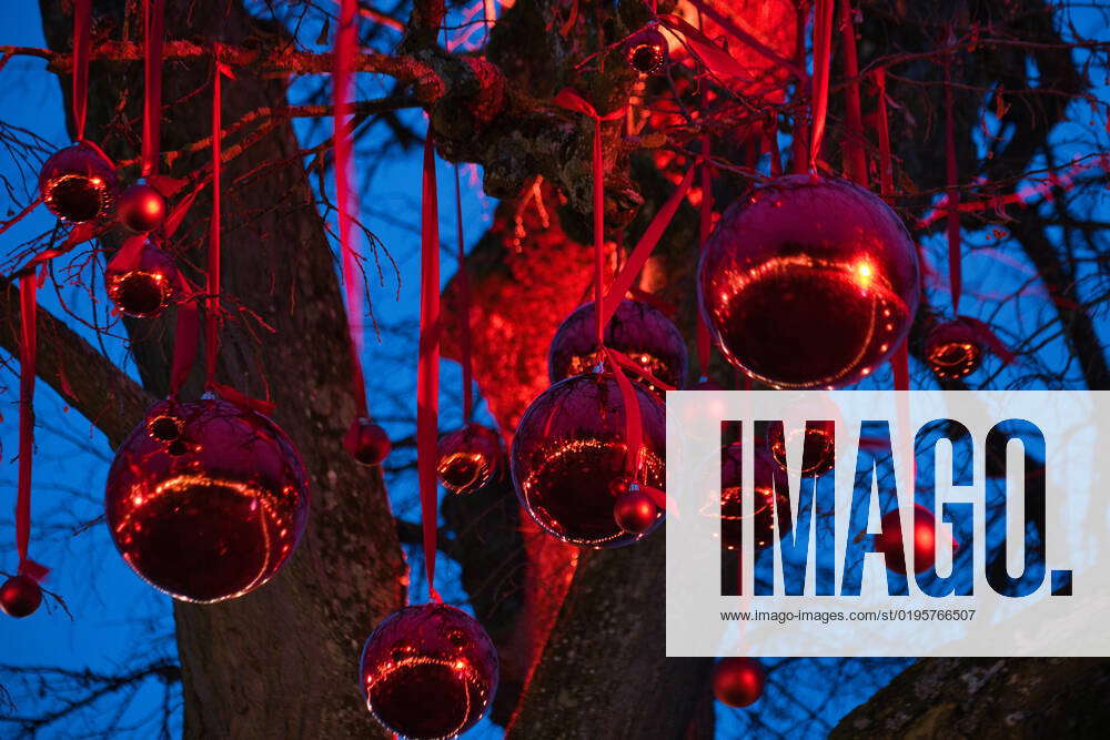Red Christmas tree balls hanging in a tree at the Constance Christmas