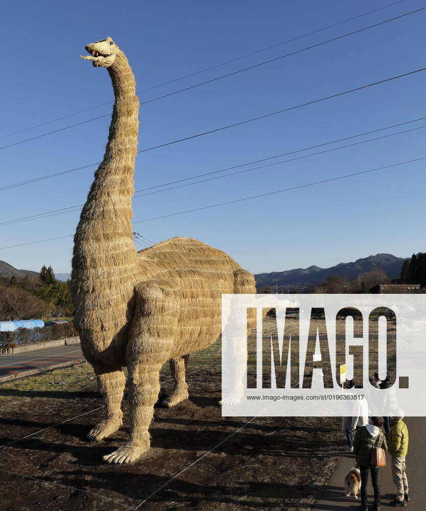 Giant straw artwork of dinosaur A gigantic Apatosaurus dinosaur made of