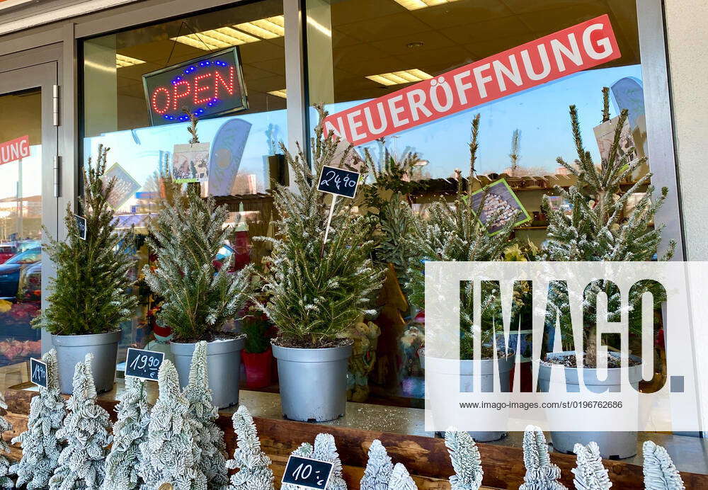 15 12 2022, NRW, North Rhine Westphalia, florist, flower store, plants
