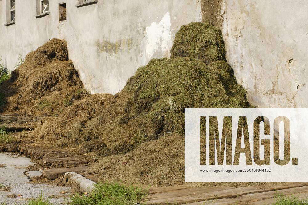 Dung heap before a Farm yard, Hops on Lake, feet, Allgäuer Alps ...