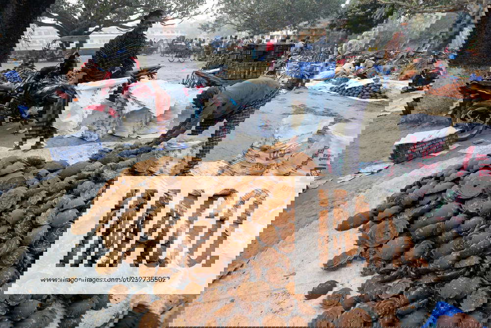 Molasses Production In Bangladesh The picture shows molasses being made