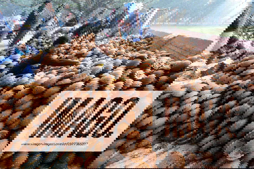 Molasses Production In Bangladesh The picture shows molasses being made