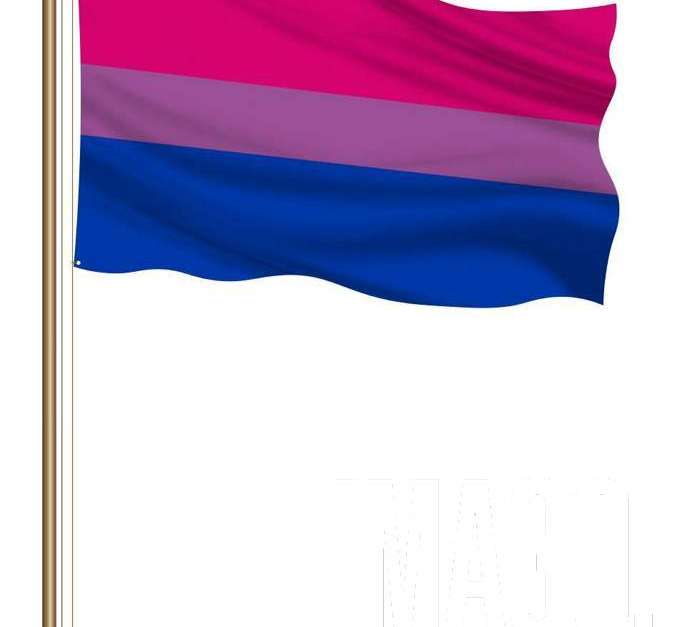 3d Illustration Bisexual Flag 3d Illustration Bisexual Flag On A