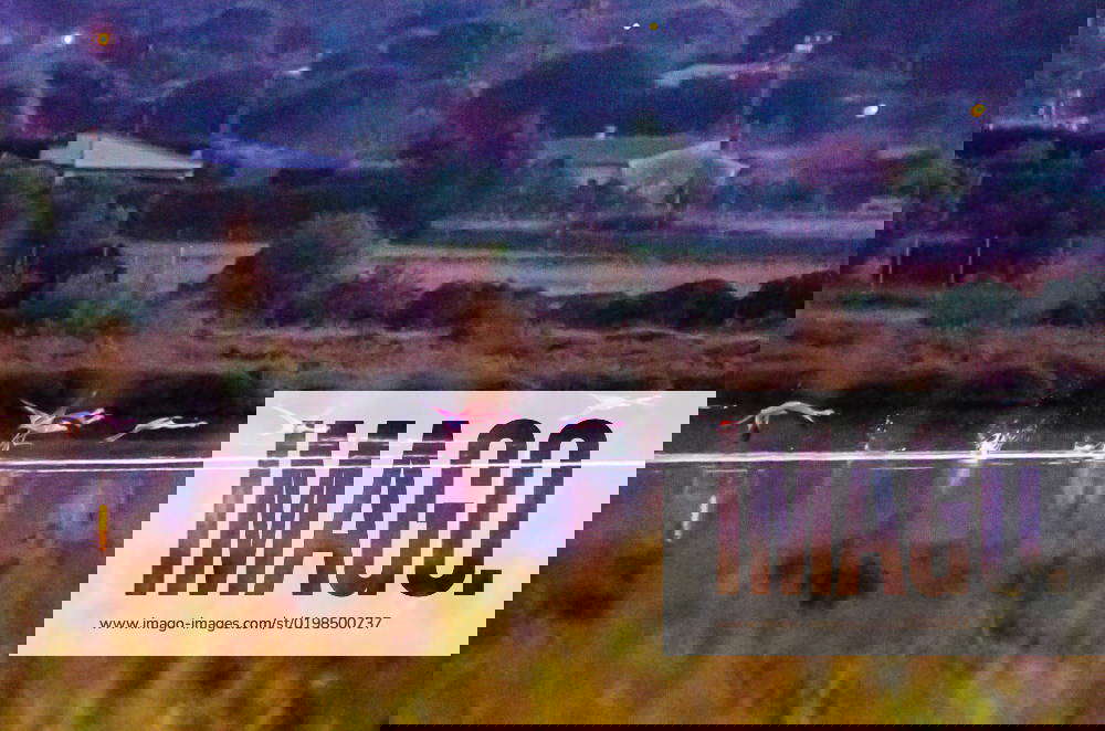 Alcudia thematic photo nature, birds, flamingo, Mallorca, Alcudia, 02