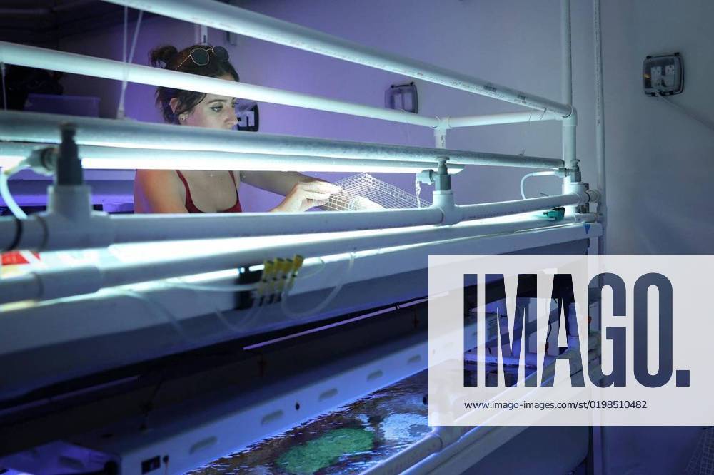 January 9, 2023 Catherine Lachnit, a Univeristy of Miami marine