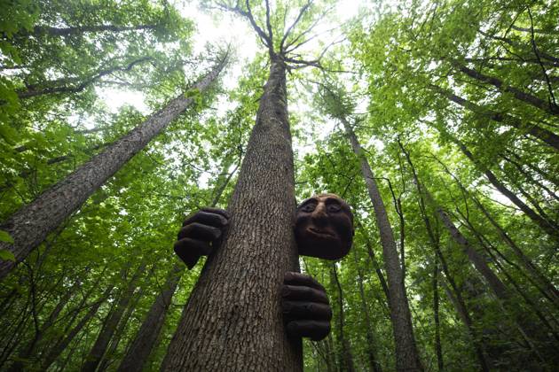 Hanmer Springs Sculpture Walk The tree hugger wooden sculpture is seen ...