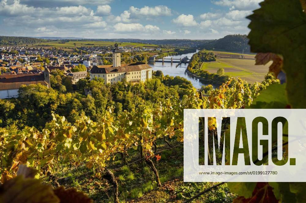 Wine experience in the lower Neckar valley, Wine experience in the ...