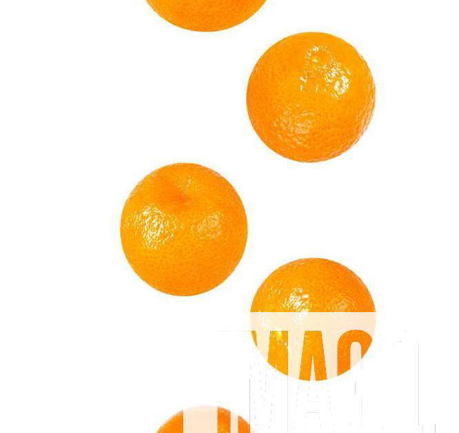 Cut apricot and almond isolated on white background with clipping path