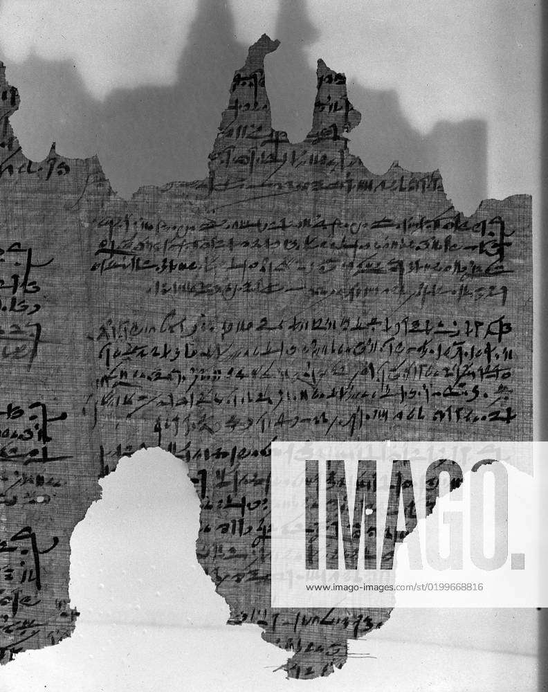 The Brooklyn Oracle Papyrus The Brooklyn Oracle Papyrus, October 4, 651 ...