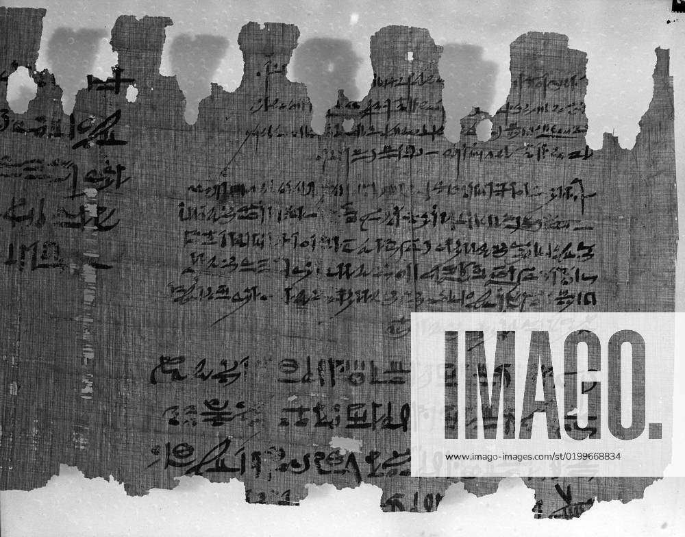 The Brooklyn Oracle Papyrus The Brooklyn Oracle Papyrus, October 4, 651 ...