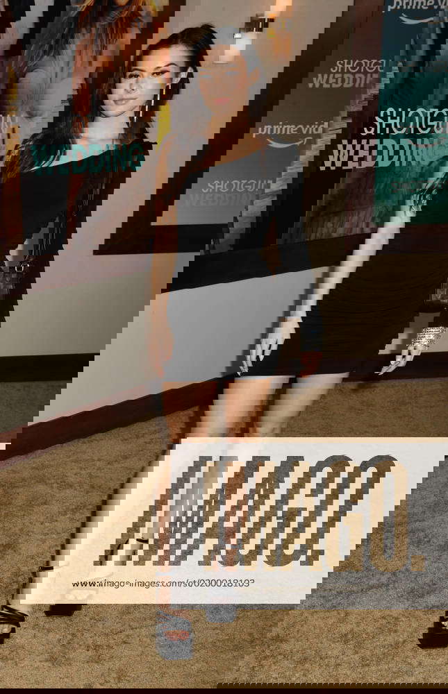 HOLLYWOOD, CA JANUARY 18 Lauren Gibson attends the Los Angeles