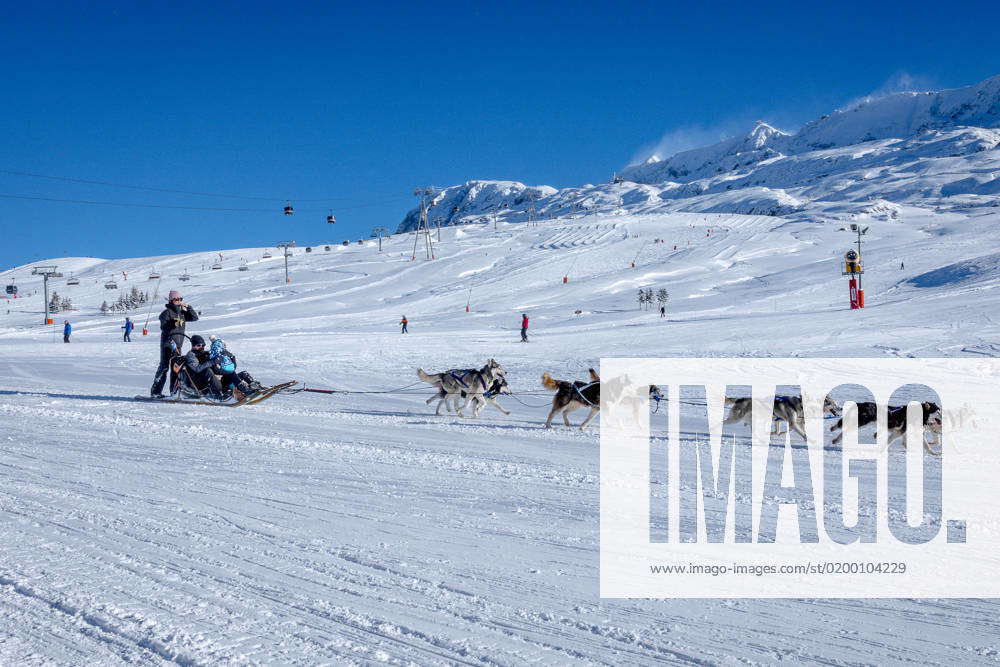 Un attelage avec des chiens de traineaux. La station de sports d hiver