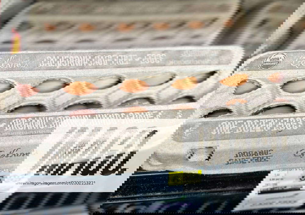 January 20, 2023, Santa Barbara, California, U.S.A Organic Brown Eggs cost 6.99 at Gelson