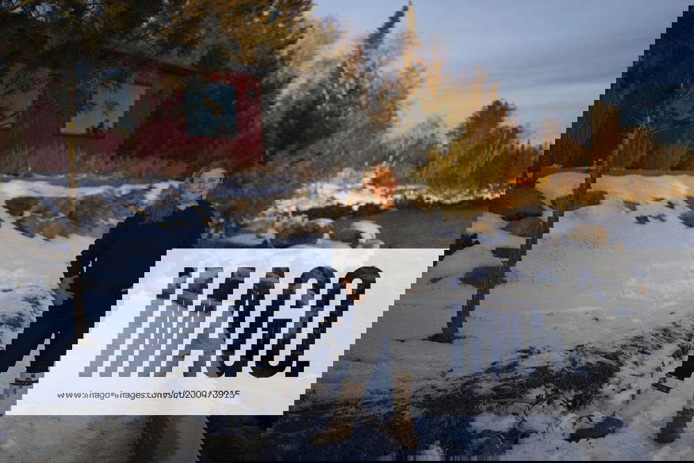 January 5, 2023, Grand Marais, MN, United States Sisu and LoÂ¶yly