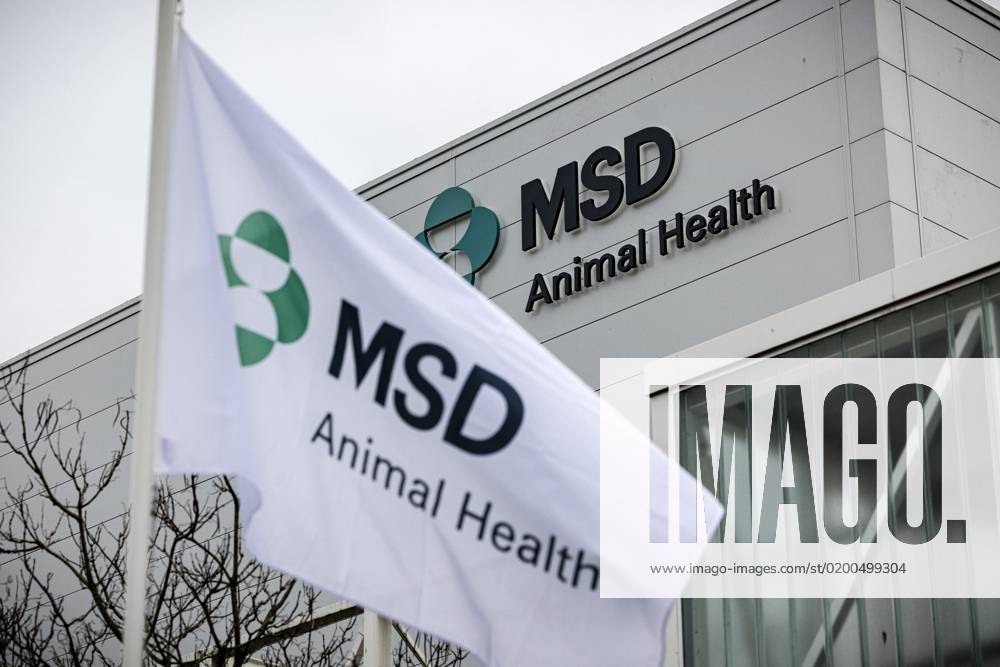 BOXMEER Logo Of MSD Animal Health At The De Boxmeer Pharmaceutical ...