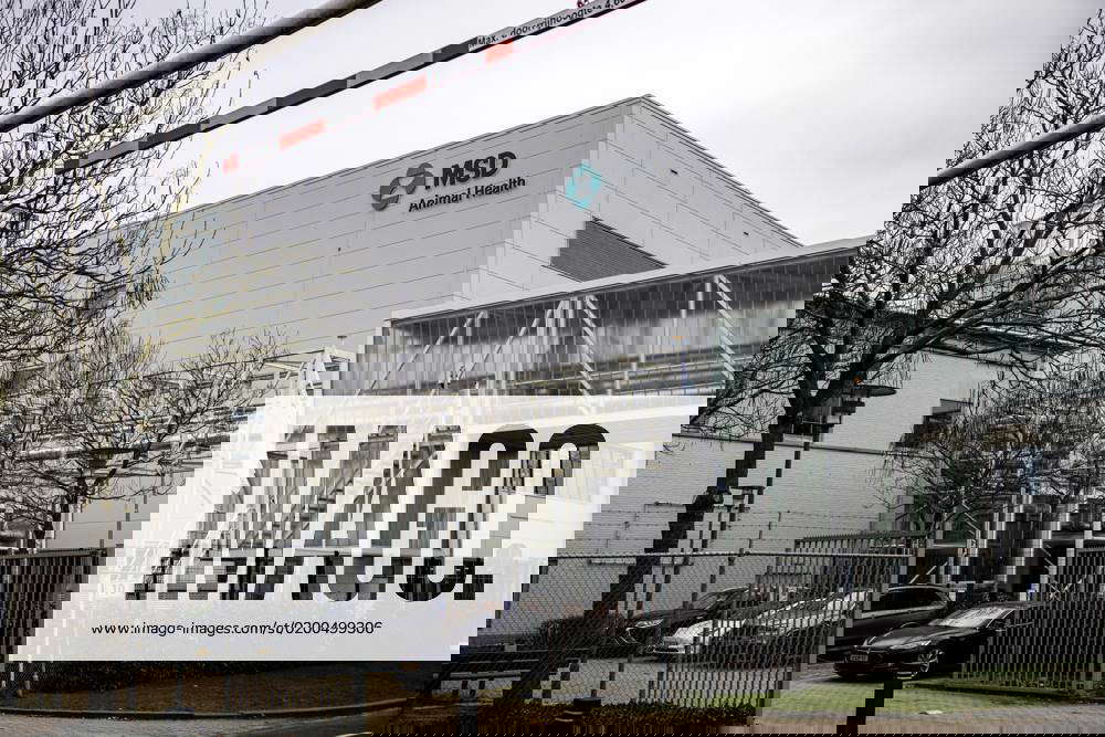 BOXMEER Exterior of the new MSD Animal Health vaccine factory. At the