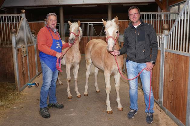 Alexander Rier 37 has inherited the gene horse and the gene music from the  prominent father