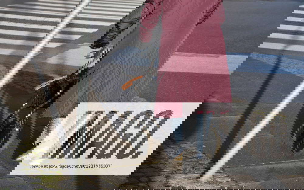 Copenhagen Denmark 01 February 2023 Senior citizen or retired people