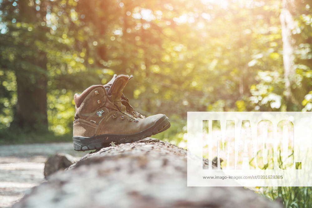 Alpine boots on a tree trunk: hiking trip in the alps, hiking holidays ...