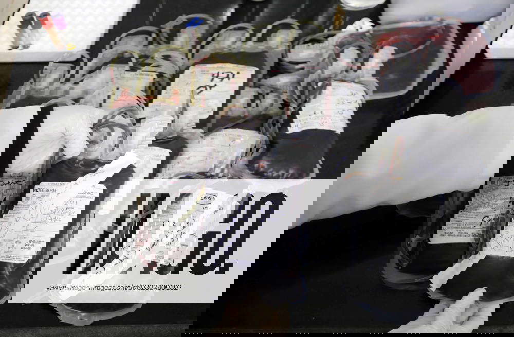 Palestinians donate blood during the campaign for the Turkish and