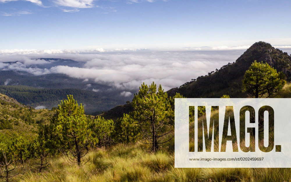 Tlalpan, CDMX.- February 08- Cumbres del Ajusco National Park is one of ...