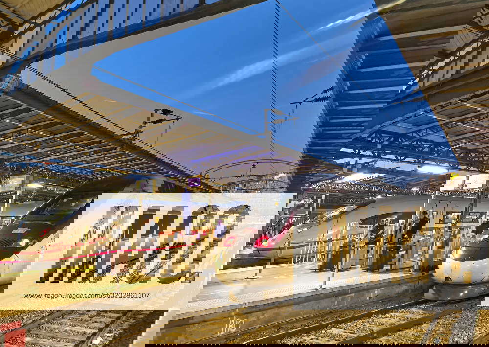 TGV ICE trains at Gare de LÂ Est, the east railway station in Paris