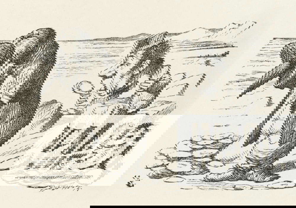 The Walrus and Carpenter The Walrus & The Carpenter The Walrus eats the