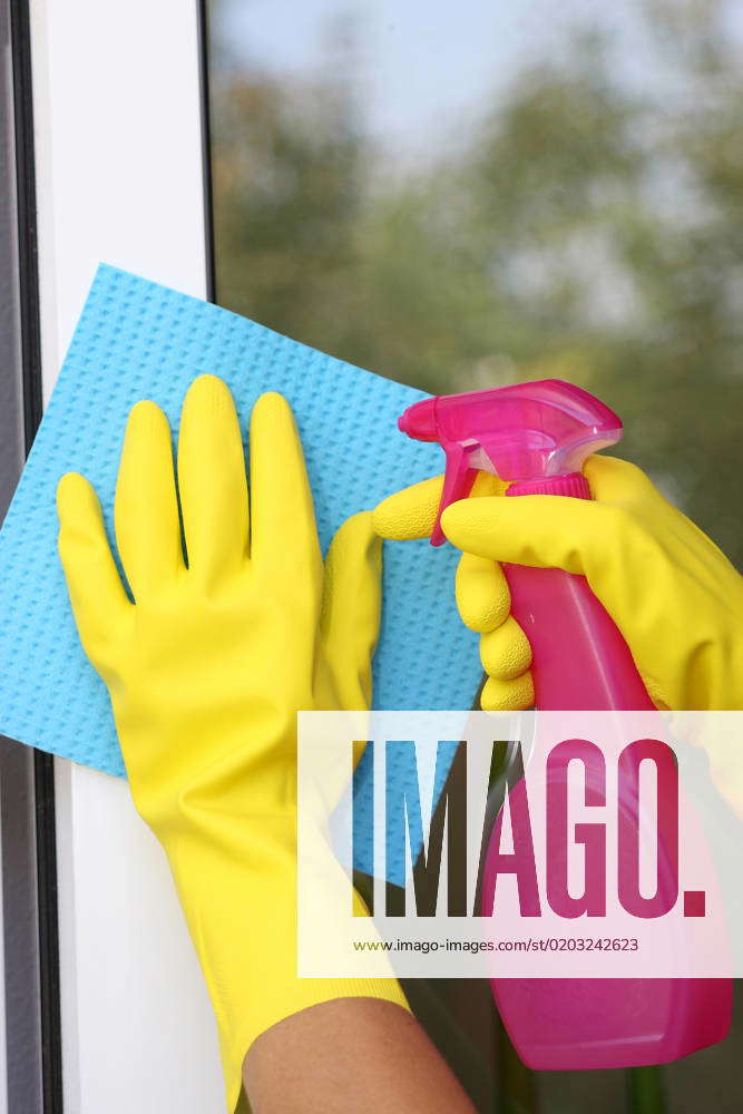Housewife cleans Window Woman Cleaning Windows BLWS