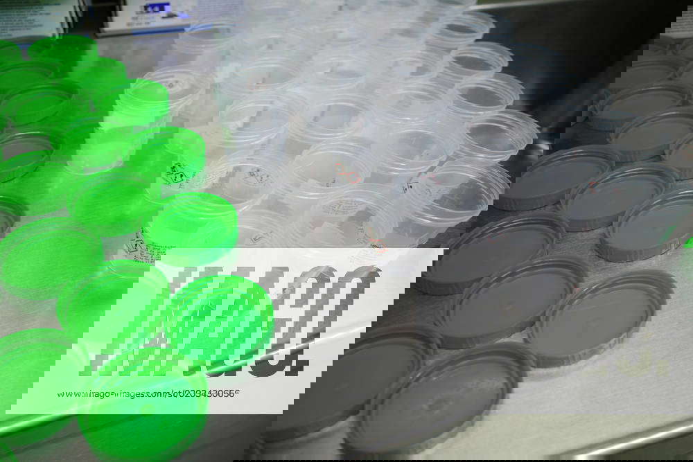 Preparation pots were opened to fill them with