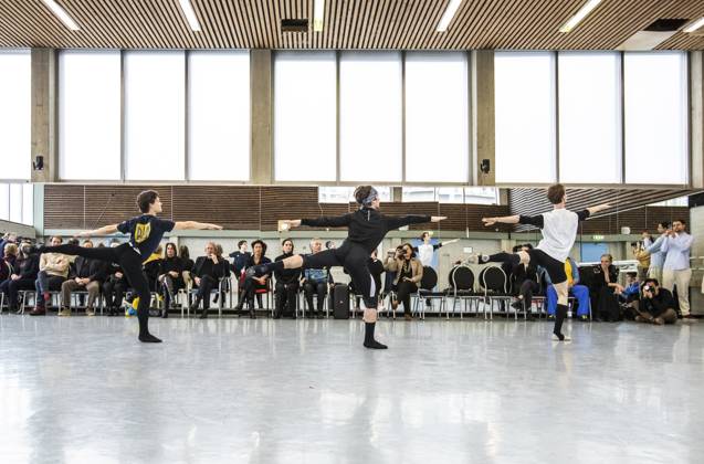 THE HAGUE - The United Ukrainian Ballet, which reflects on the Russian ...