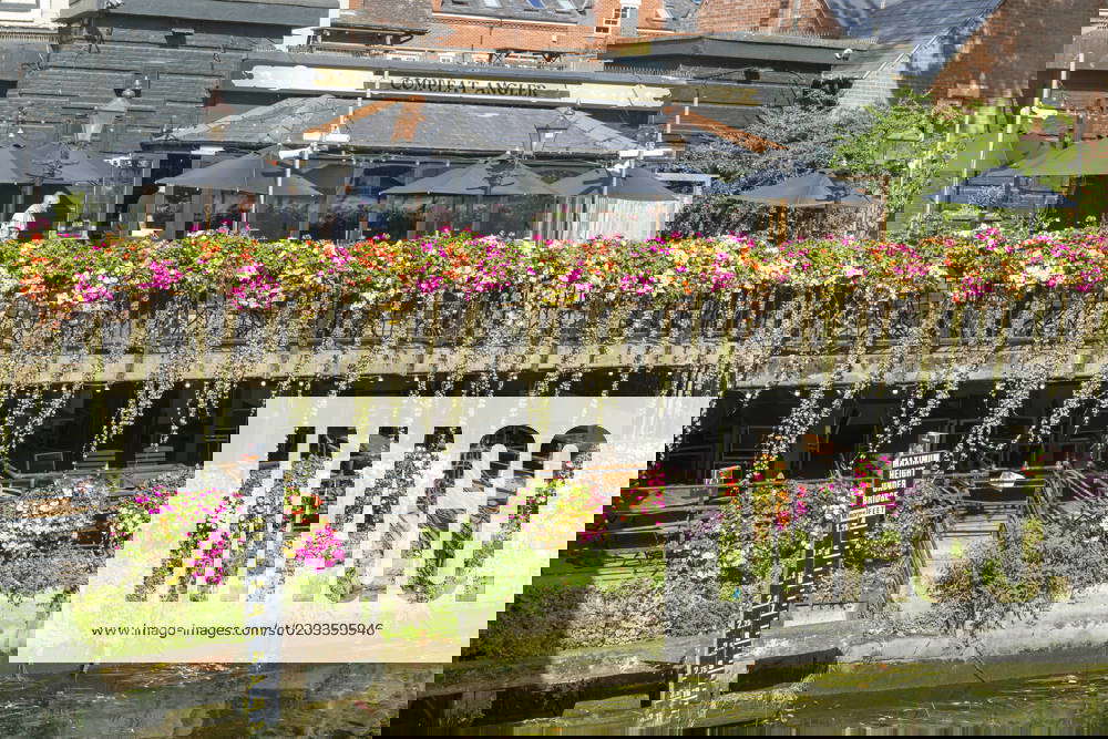 Floering plants in hanging baskets on River Wensum riverside, Compleat